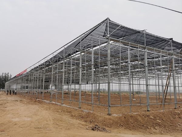 玻璃溫室的優點有哪些？