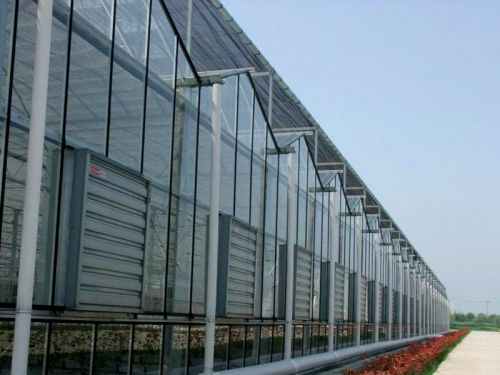 玻璃溫室